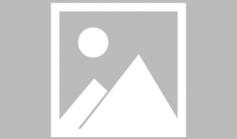 漫画家作者,探寻创作背后的灵感与故事